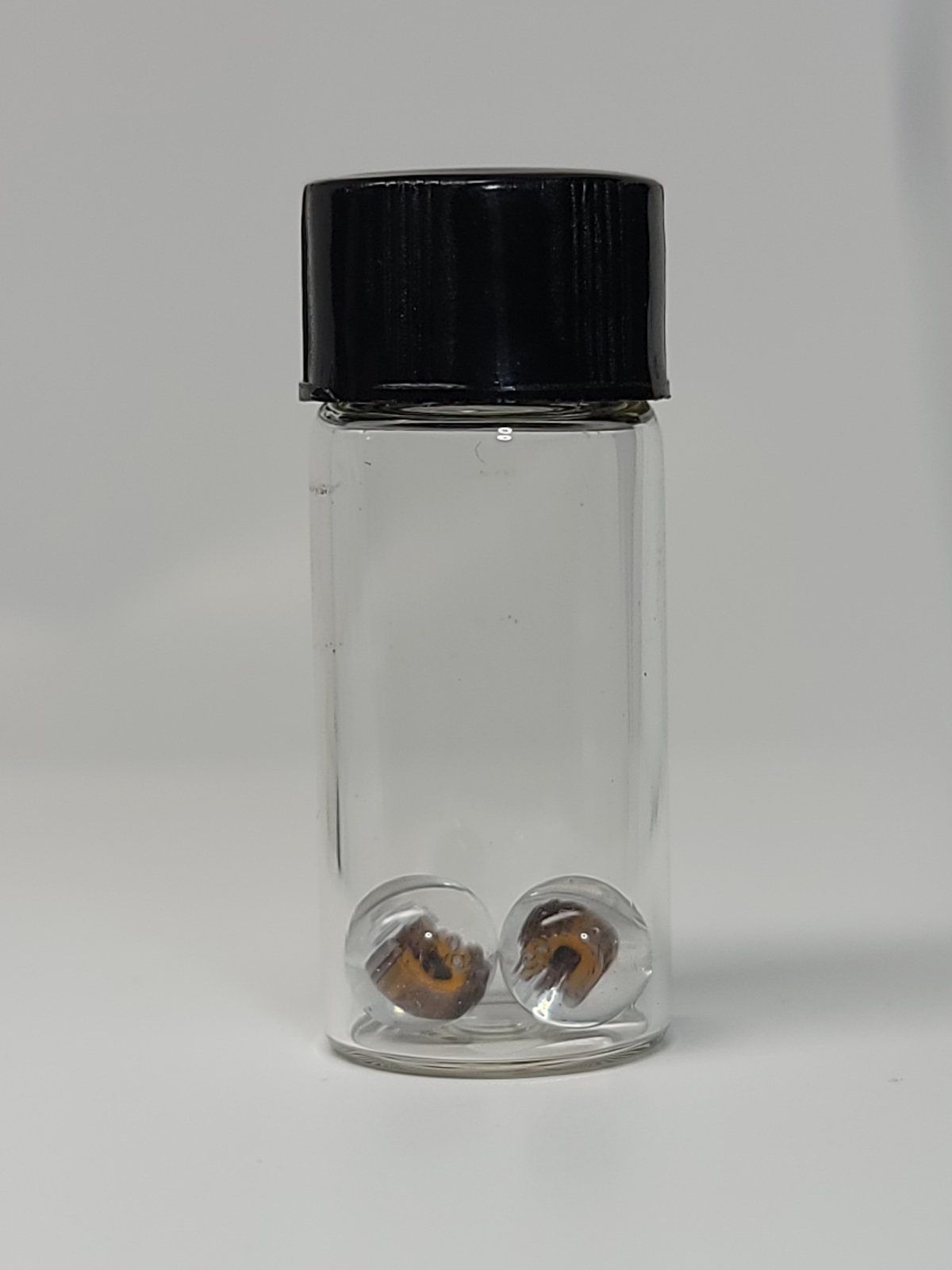 Burping Barney Terp Pearl Set