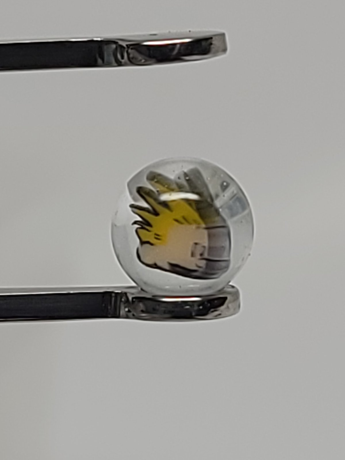 Calvin and Hobbes Terp Pearl Set
