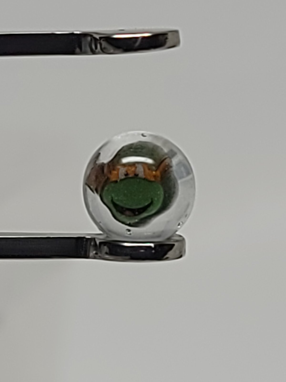 Michelangelo Terp Pearl Set