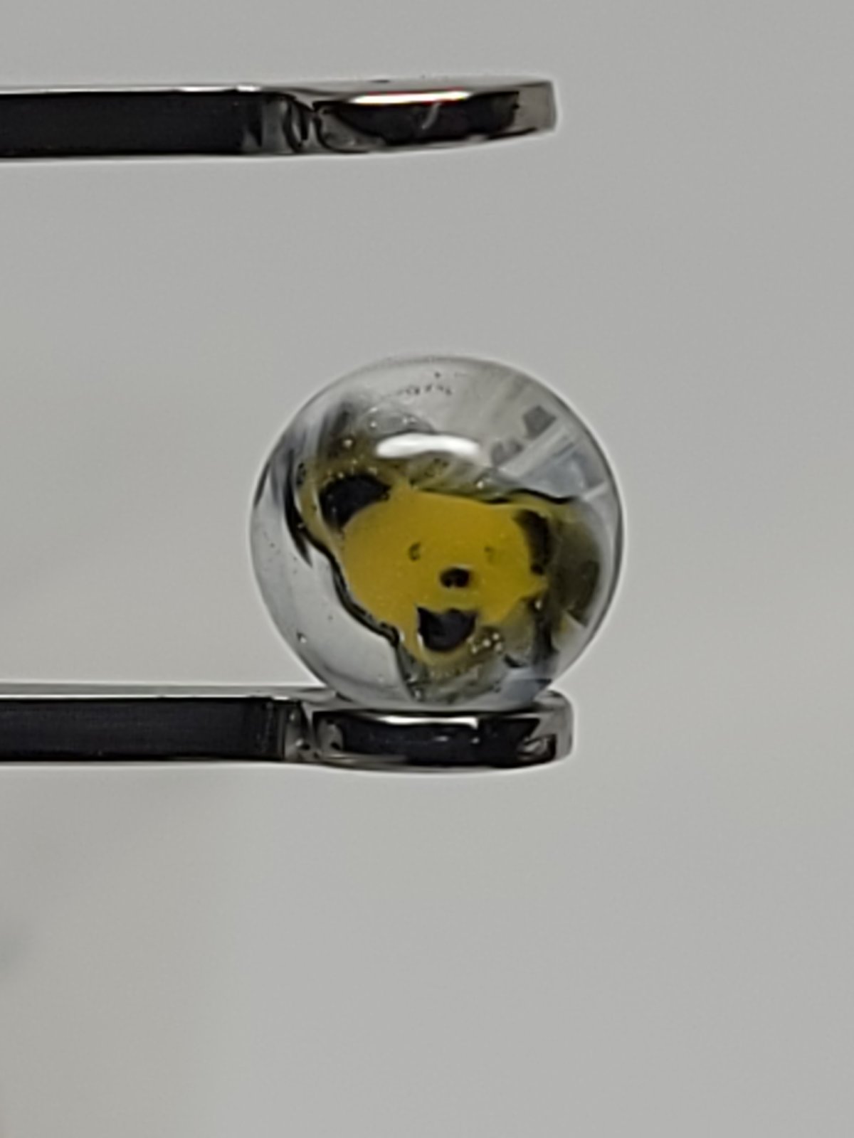 Yellow Dancing Bear Terp Pearl Set