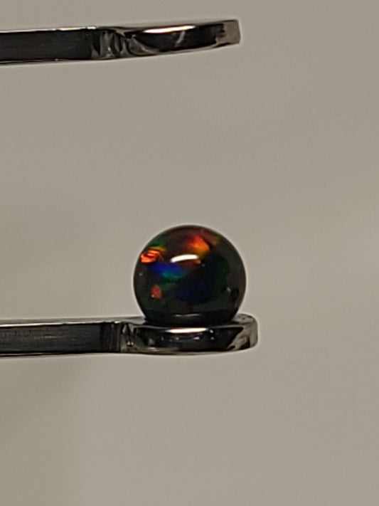 Black Rainbow Opal Terp Pearl