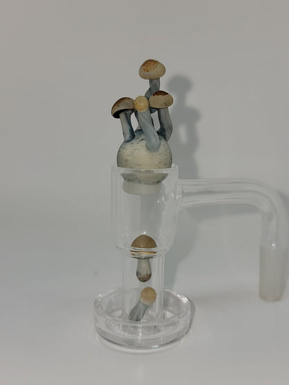 Fungi Lighting Cubensis Mushroom Slurper Set 